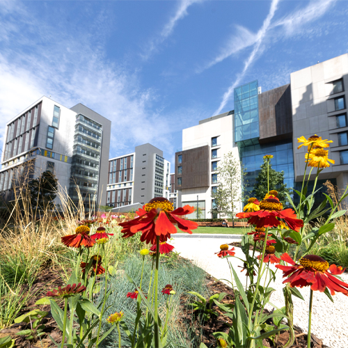 Navigate to the list of Products belonging to this Store Category