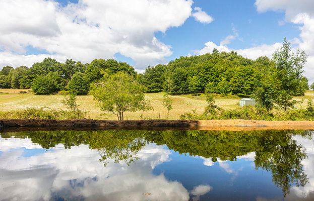 Faculty of Natural Sciences